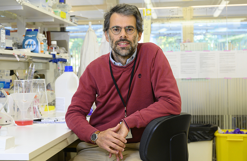 Nicola Crosetto, forskare vid Cancerforskning KI. Foto: Stefan Zimmerman